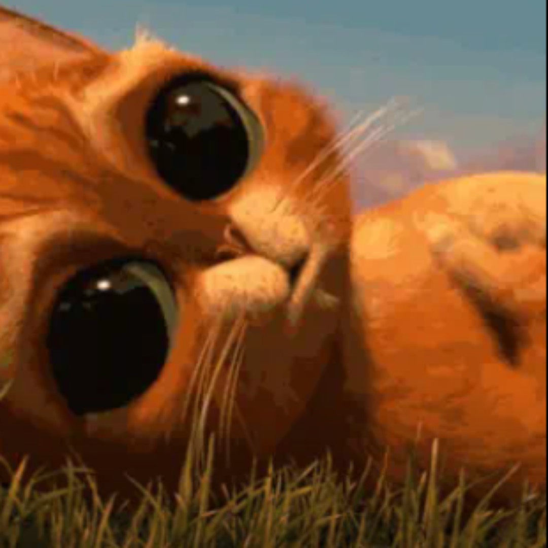 青呱呱呱呱呱呱呱