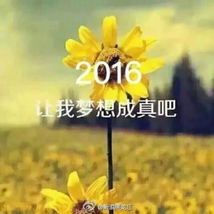 朱蒂亚有爱心48