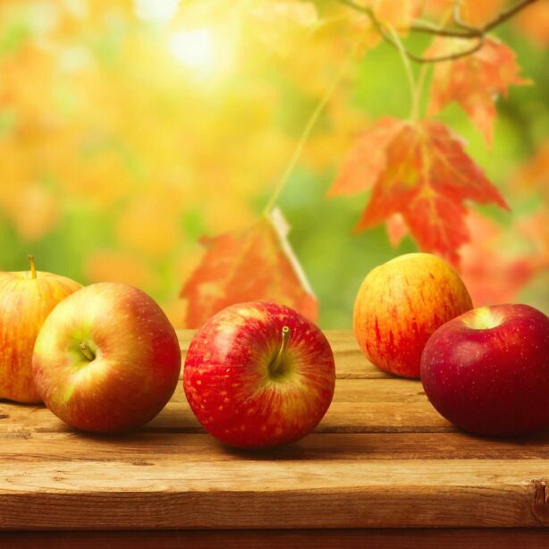 嫩黄的淡红素馨