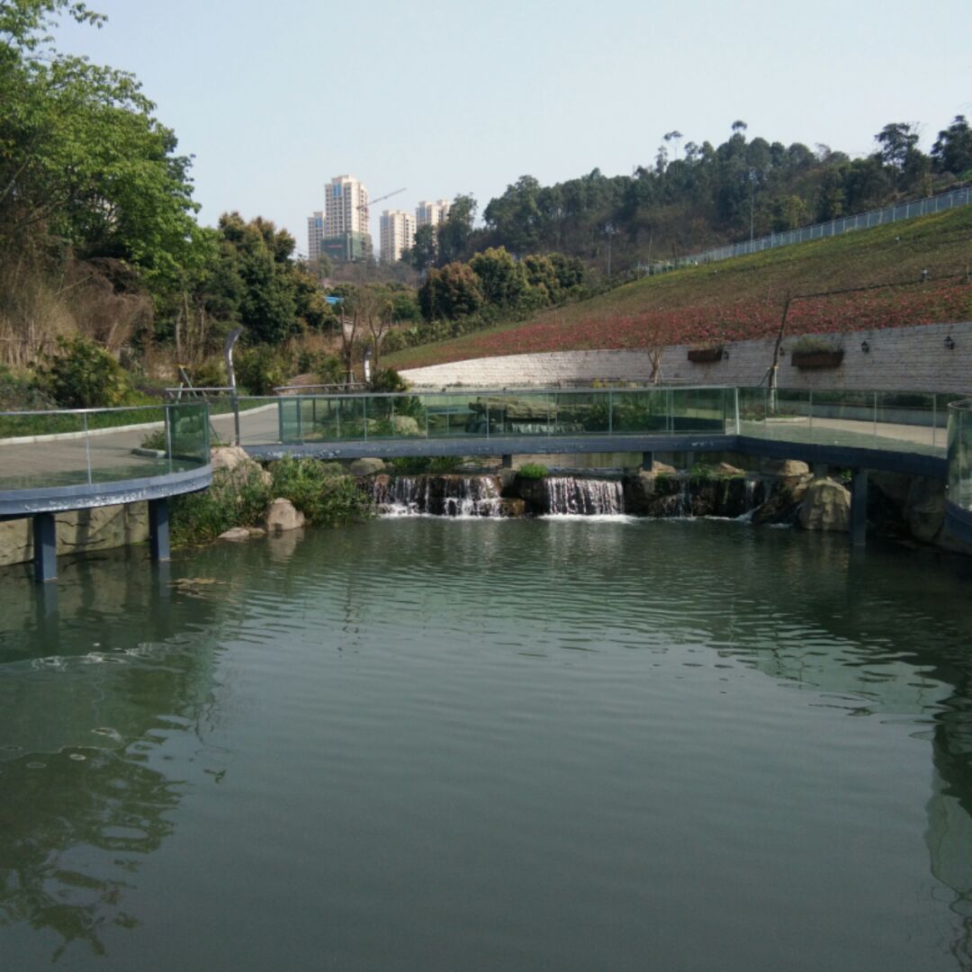 爱吃穿汤肉片的收音机ua