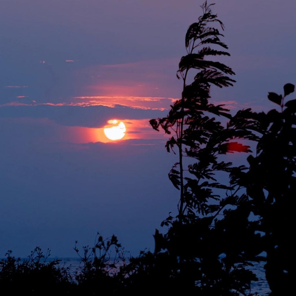 蓝色大海的冰淇淋