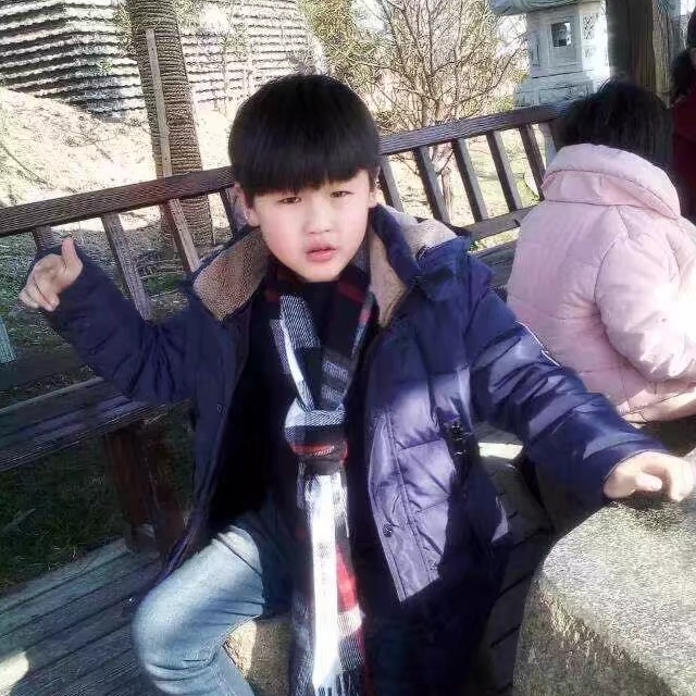 茶绿的台湾檫木