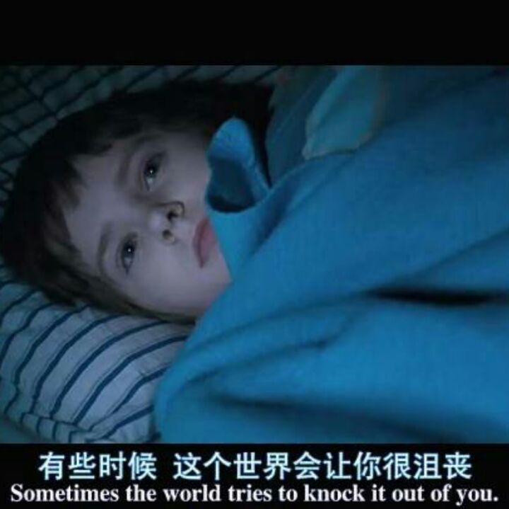 豆绿的雷琼牡蒿58