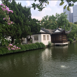 渔乐无限只为娱