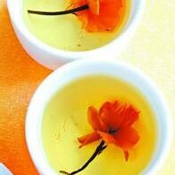 子瞻一蓑烟雨任平生