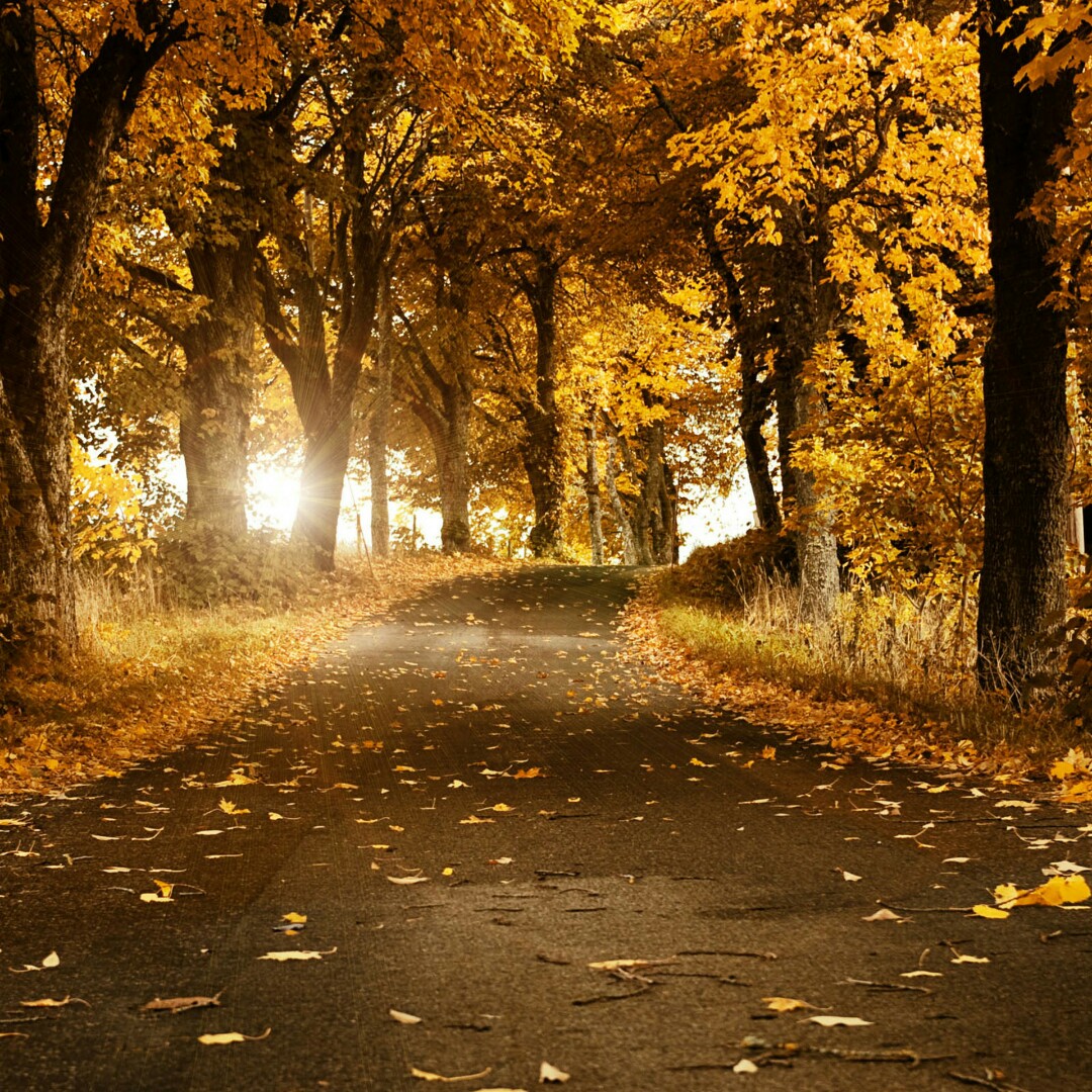 ta不再淘很果断