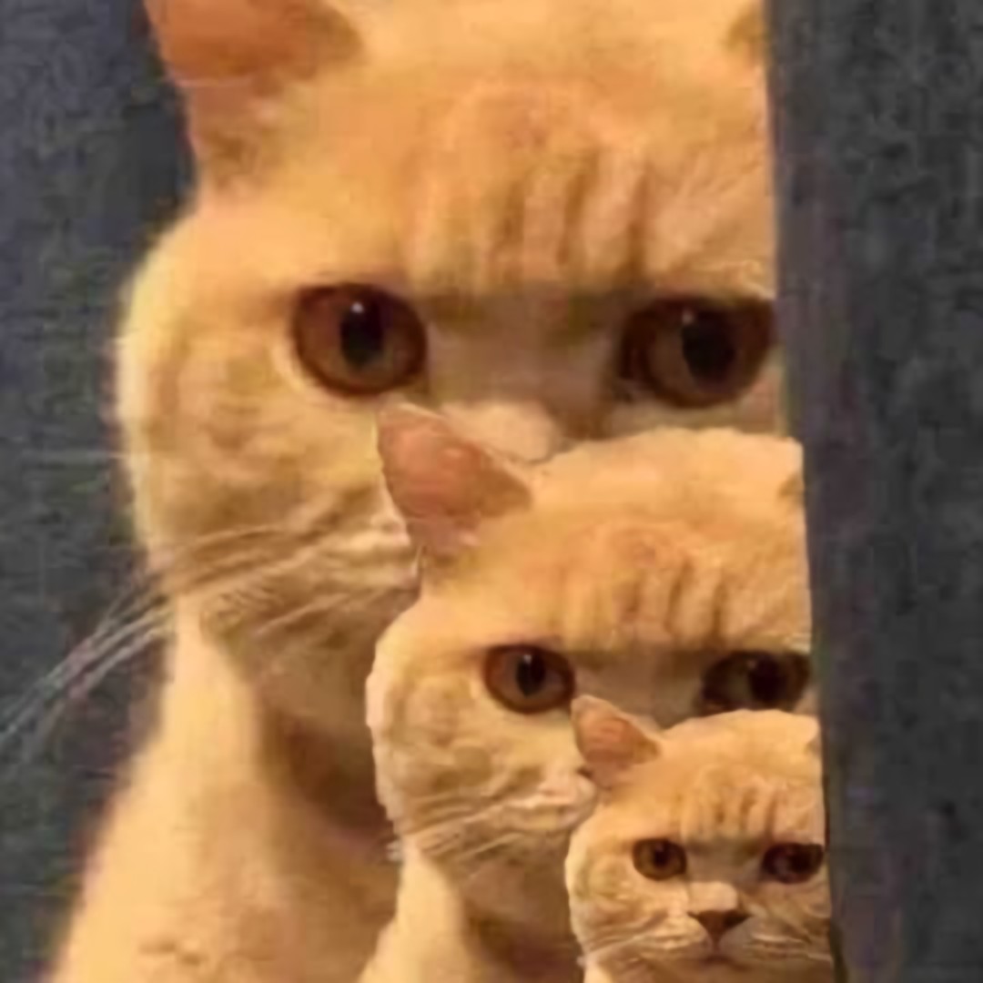 我真的有一个很长的名字啊