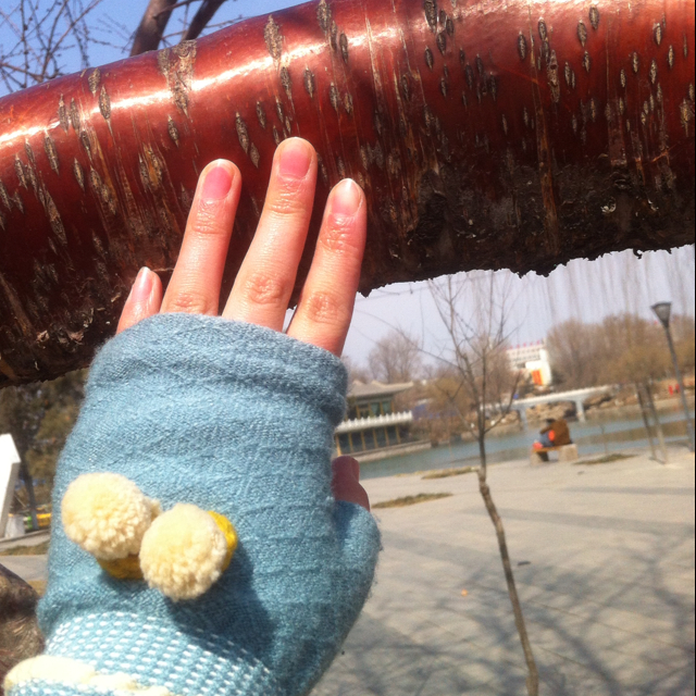 不紧不慢的麦子