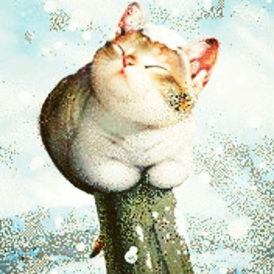 梨花巷沉静的花椒