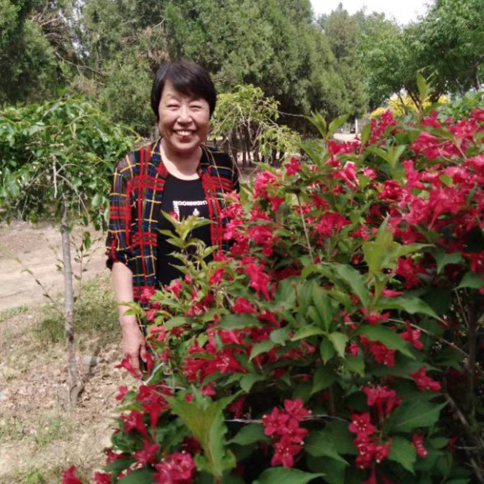 ☆心想☆我的童年