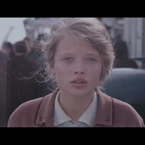 青春摇摆的枝桠