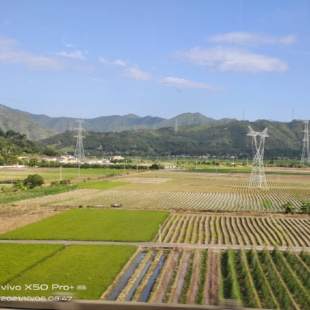 天兔吃草浪卡飞燕