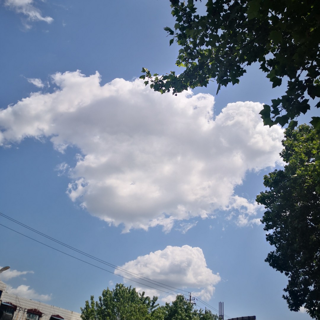 曾经追风的大哥