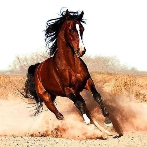 笑口常开嘻嘻嘻