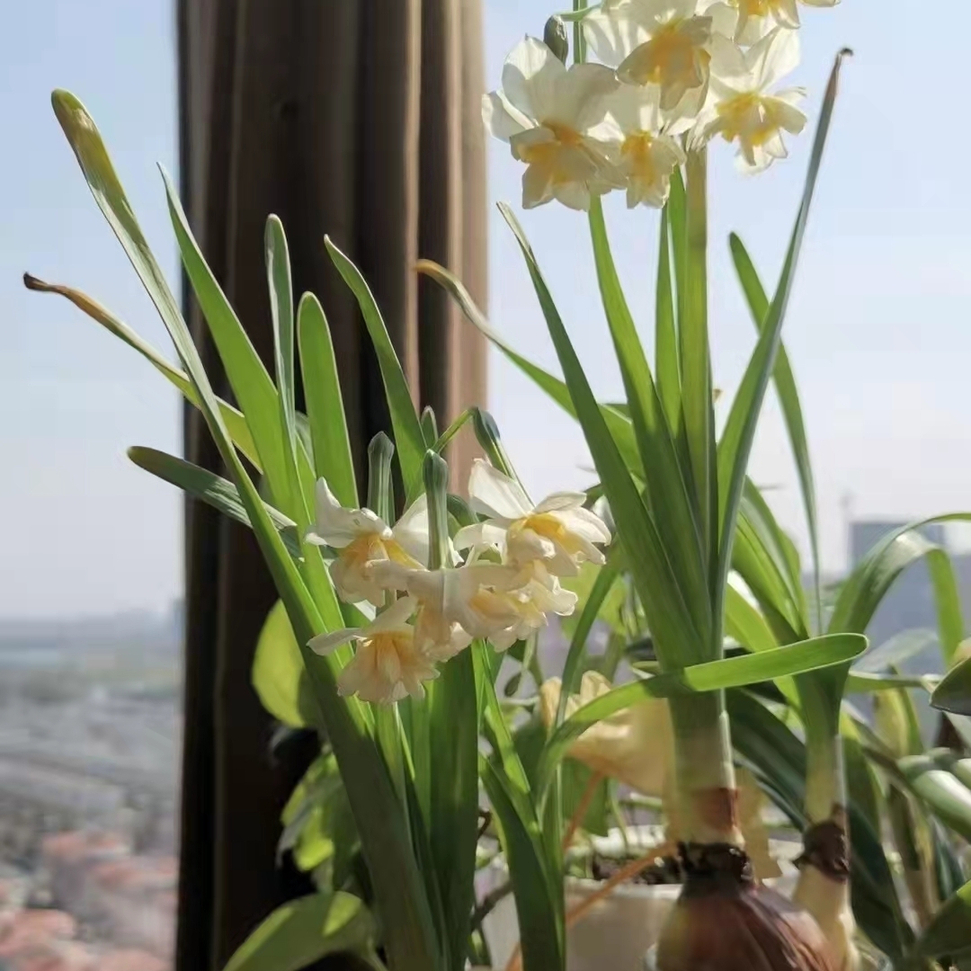 爱吃三文治的佩恩