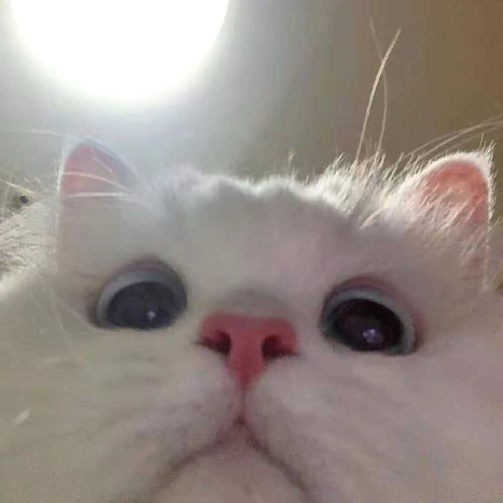 一节更比六节强