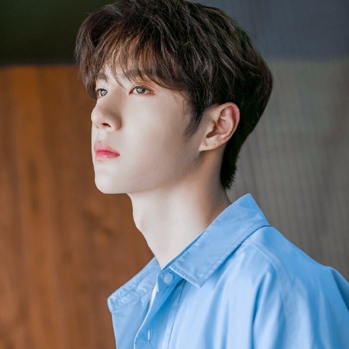 不一定是特仑苏丶