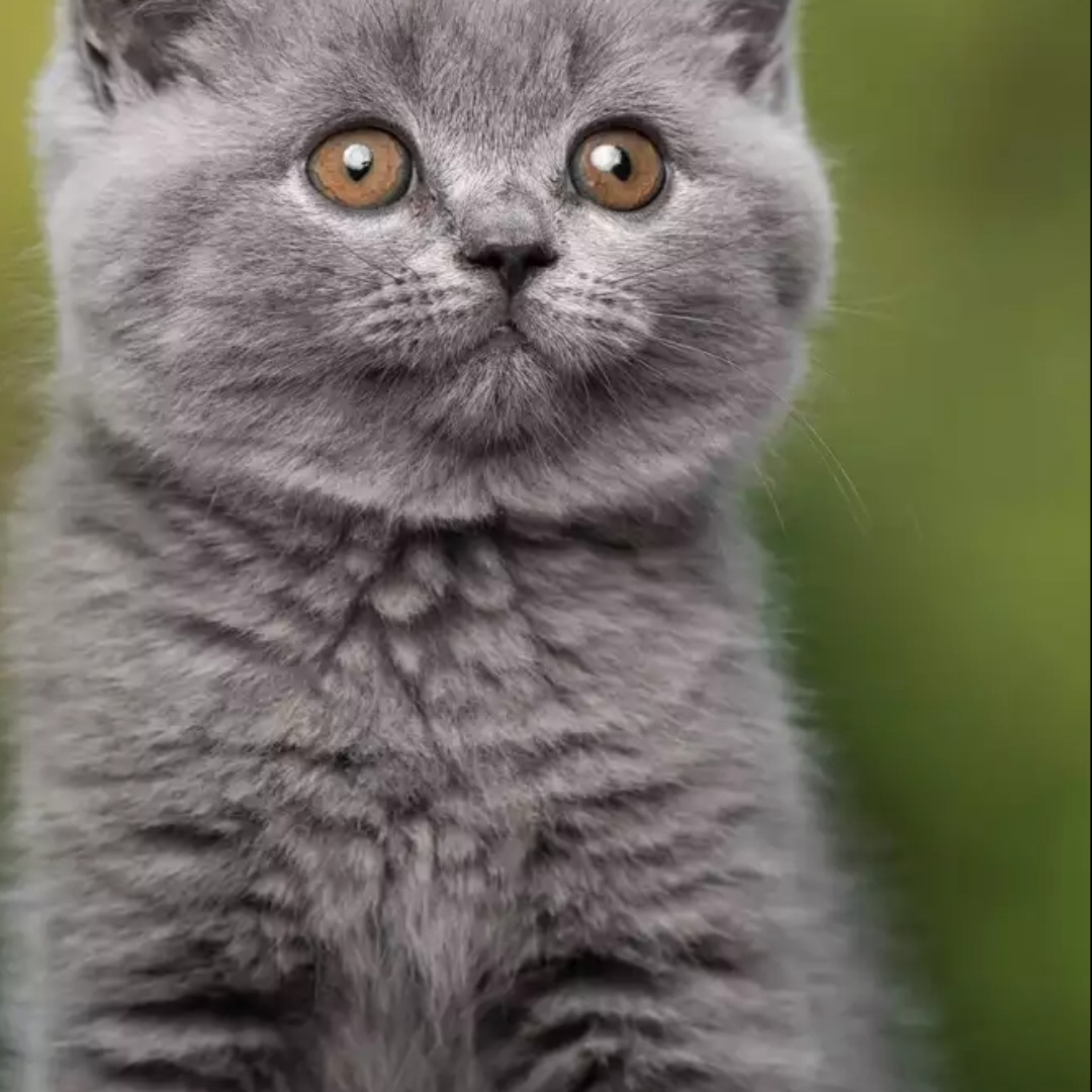 让时间慢点走吧