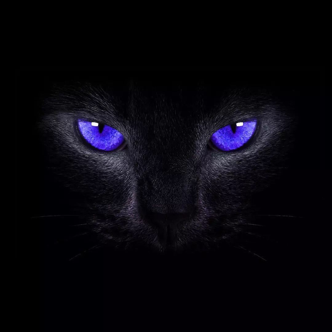 欲將心事散清風