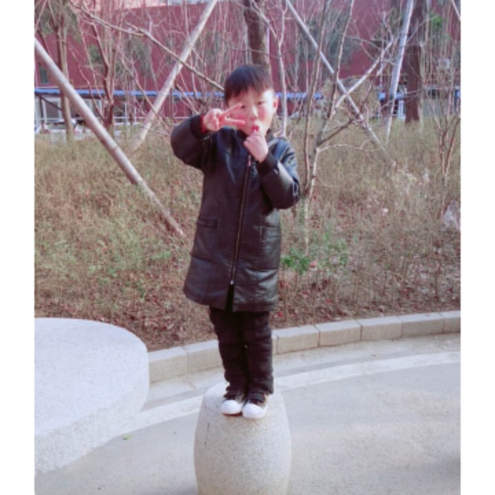 银白的三北六号36