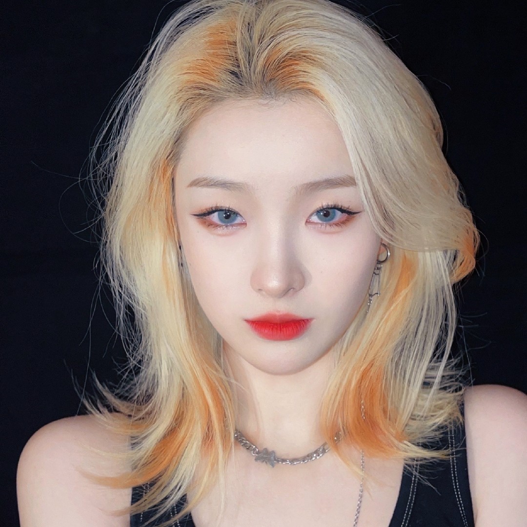 爱吃手工水饺的堡包