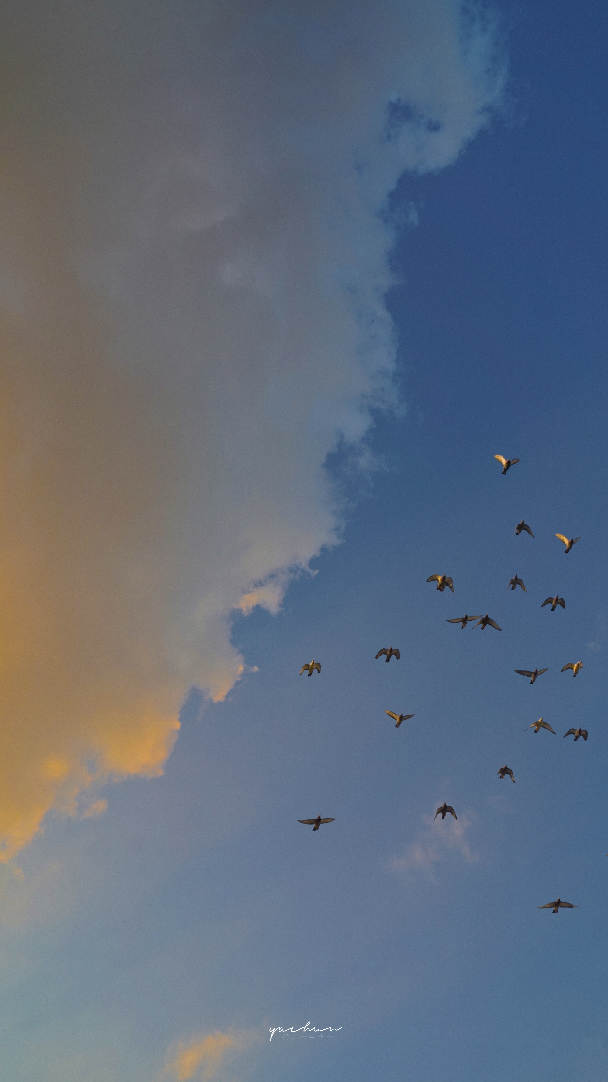 不知道要取什么名字