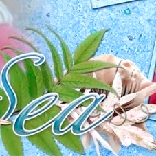 爱吃糖水枇杷的胖虎