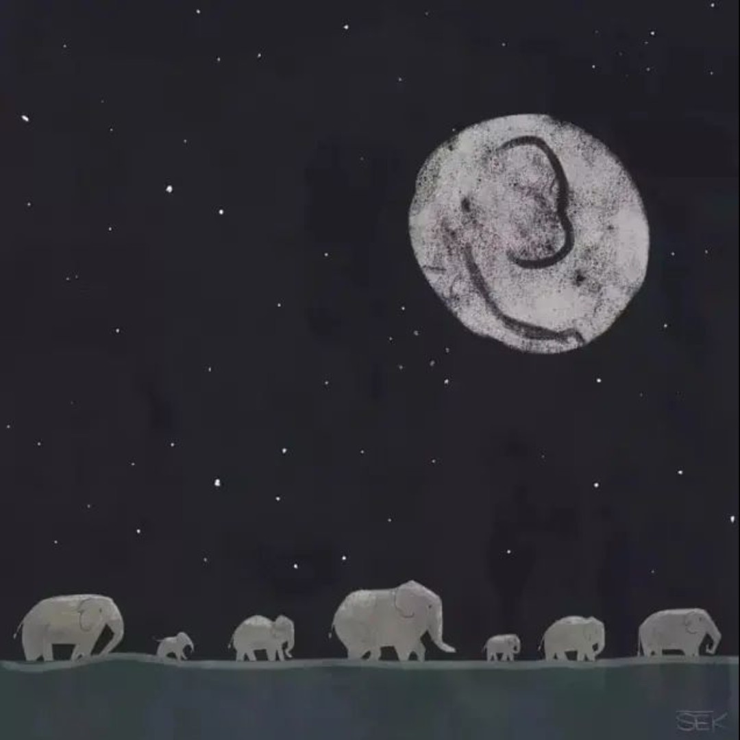 爱吃心形饼干的哈利