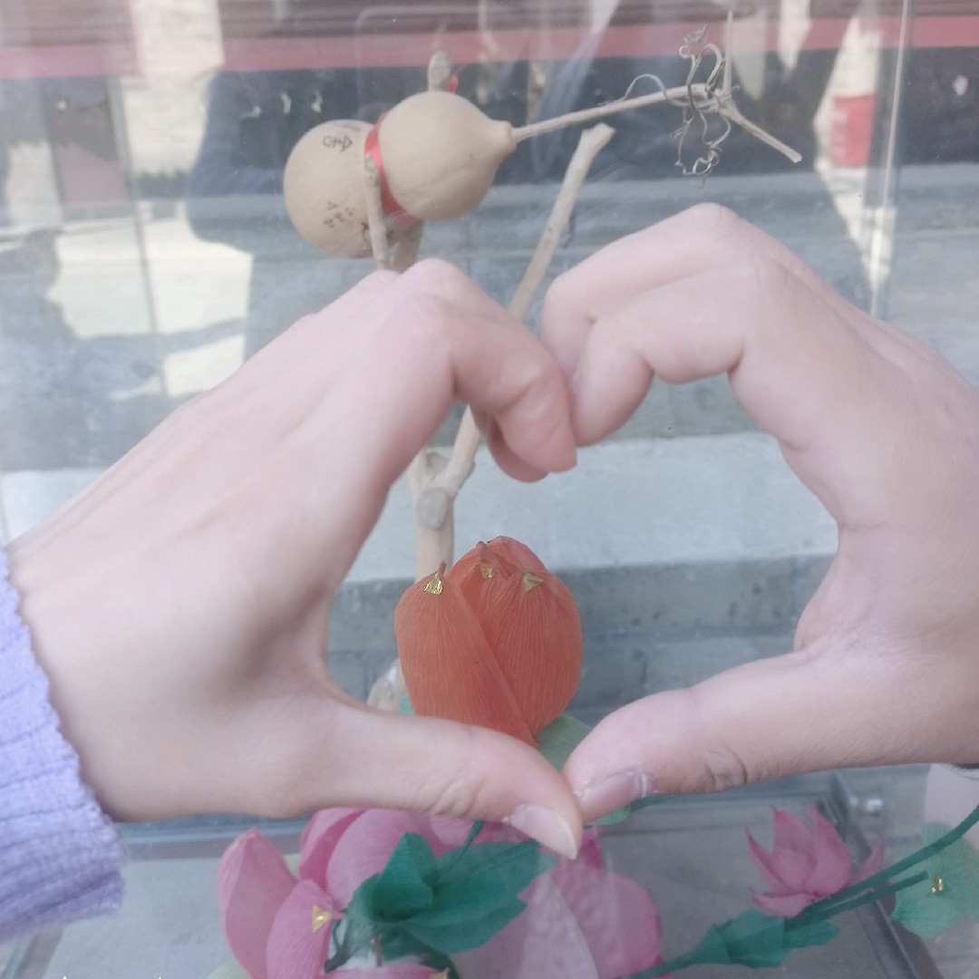 一路向北星星26