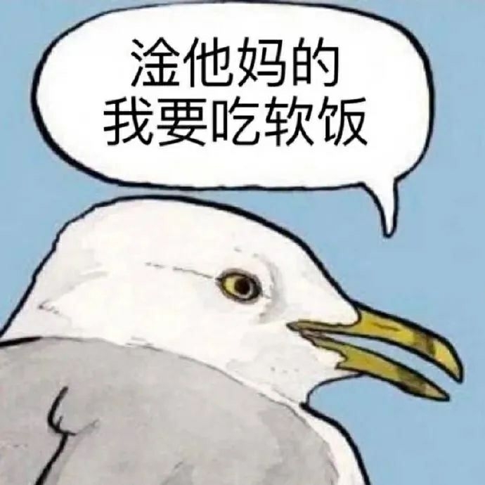 爱追剧