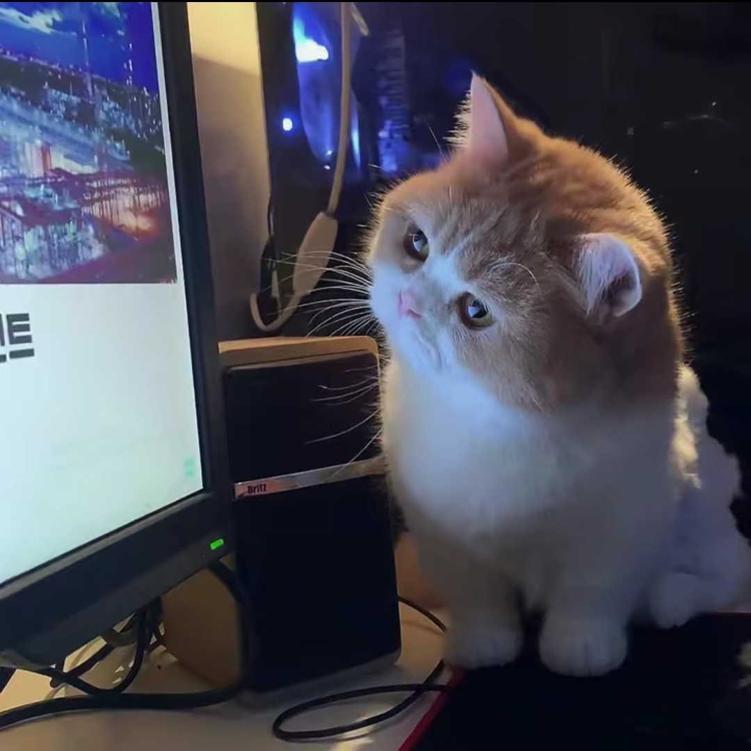 放个大屁臭死你