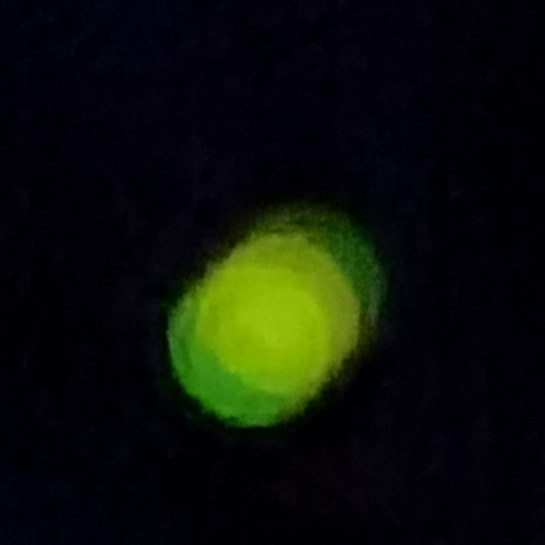 甲乙丙丁三人行