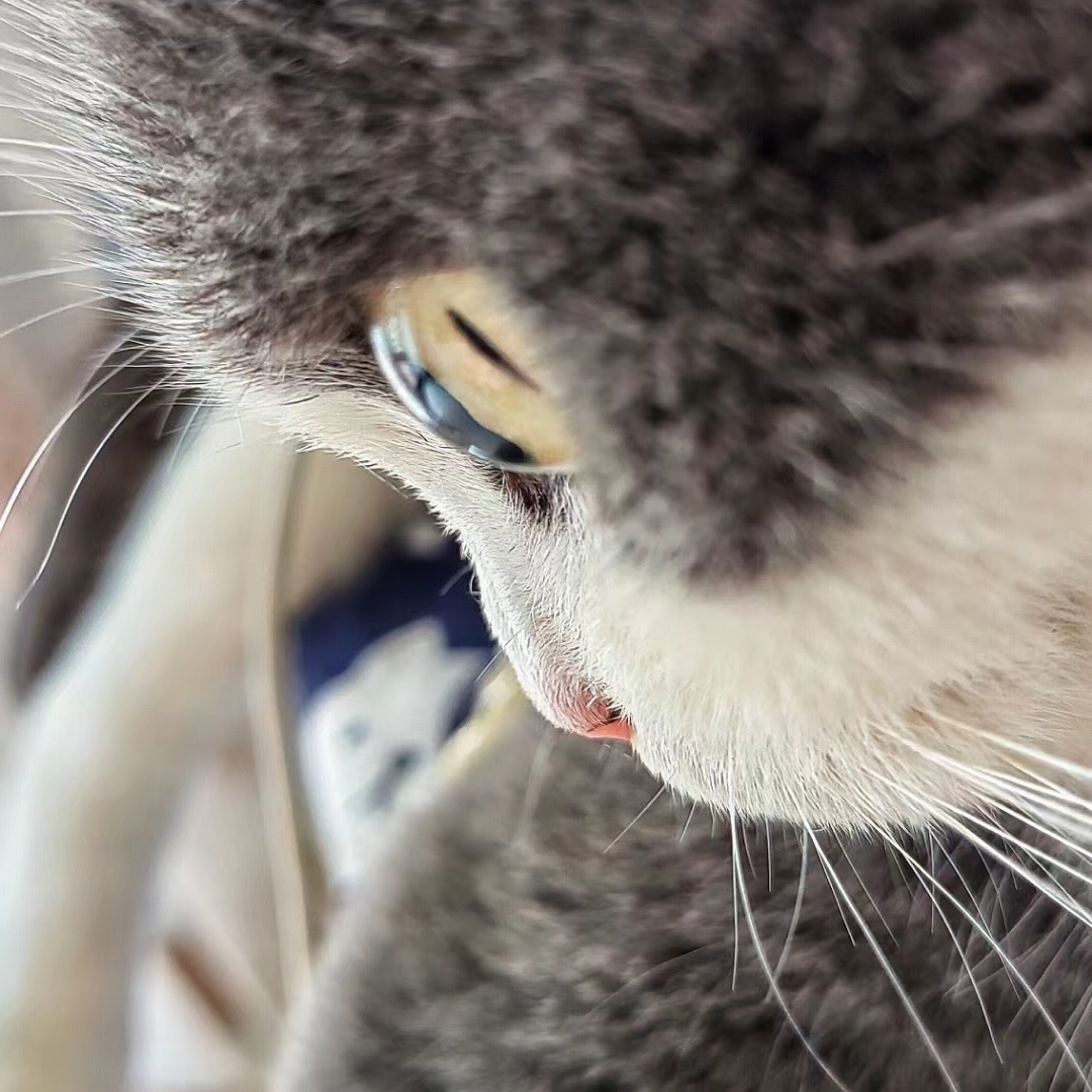 魅力女人爱整理