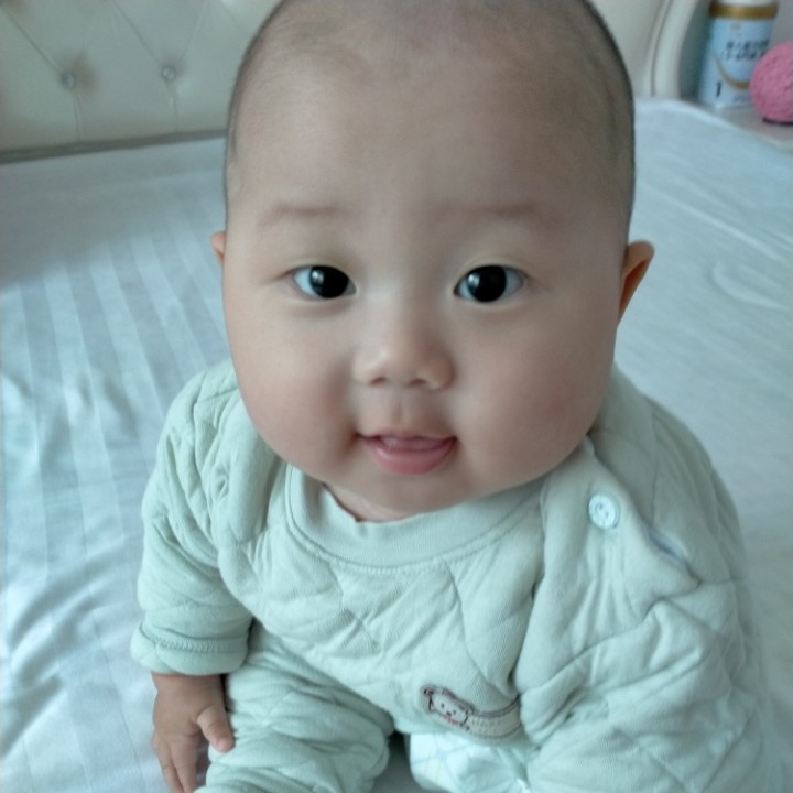 爱吃柠檬小饼的王子