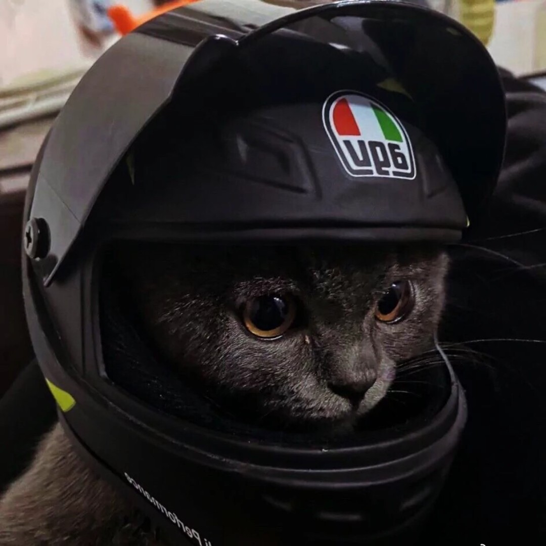 爱吃慕司蛋糕的铠甲勇士