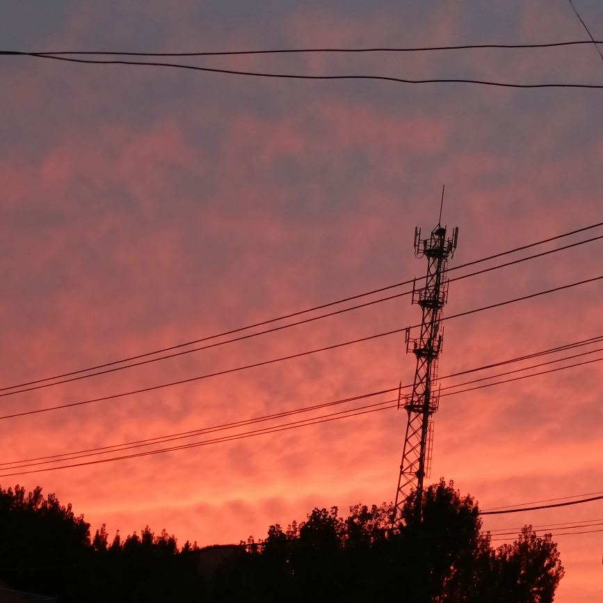 爱吃蚂蚁豆腐的咩咩