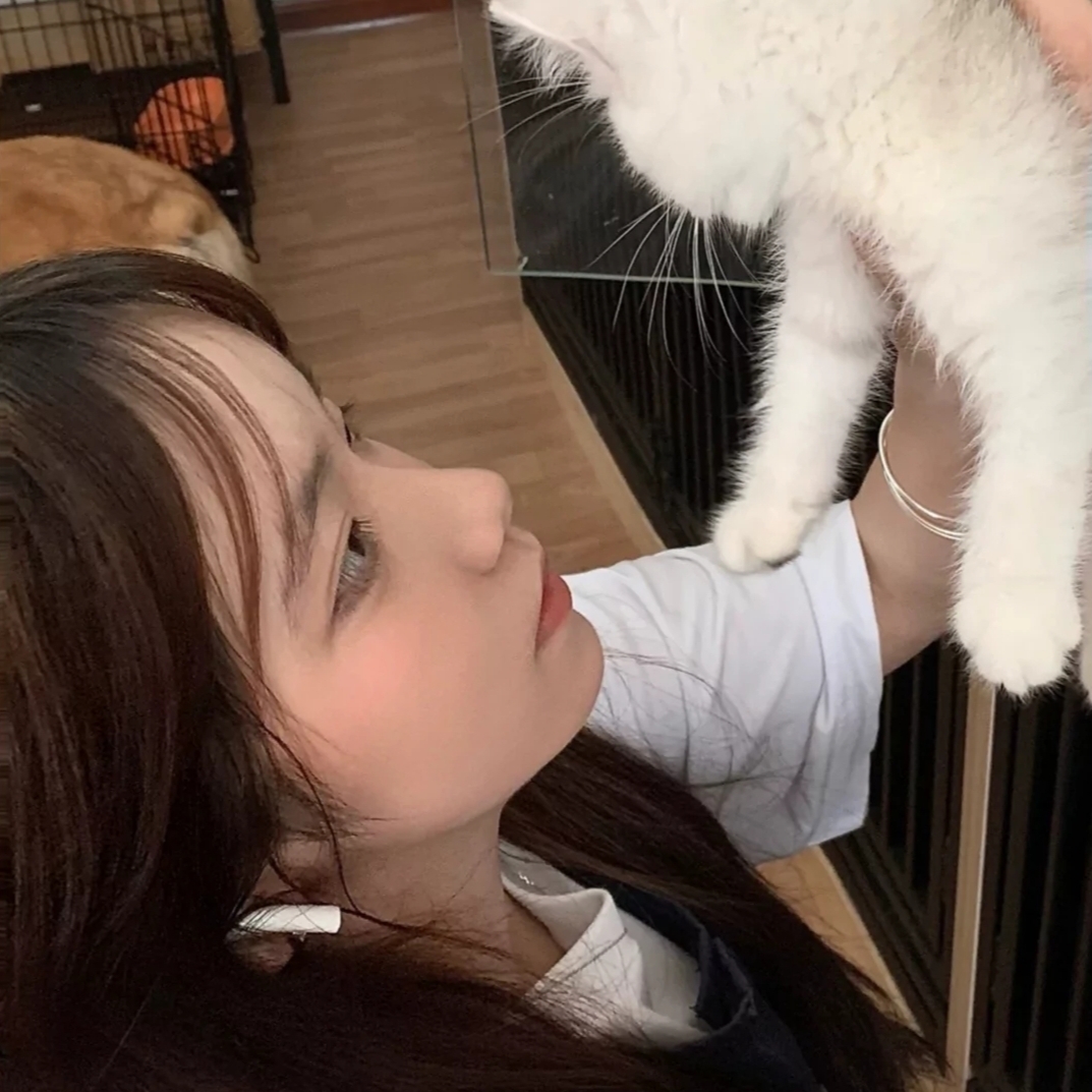 烤地瓜五块一个