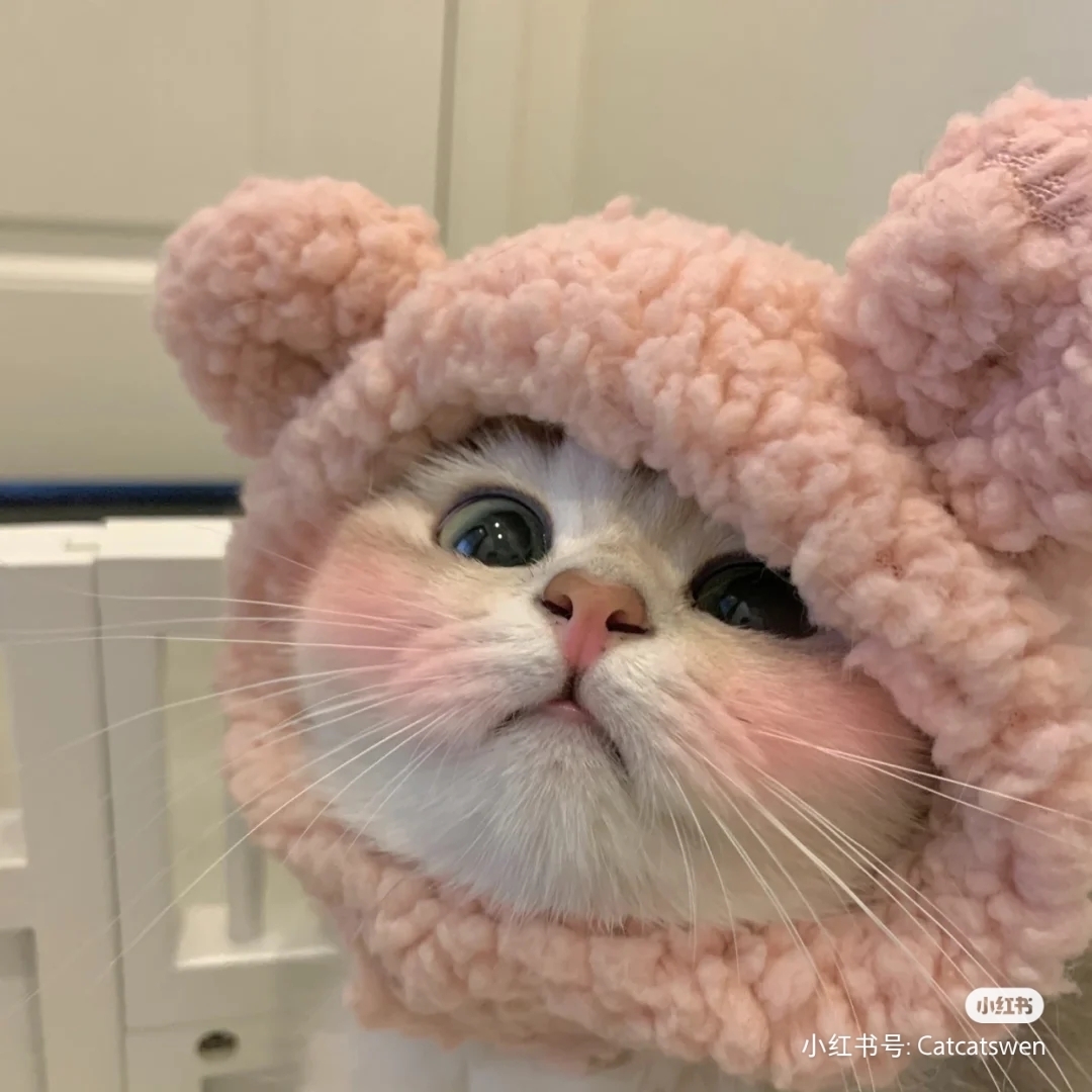 爱吃东北年糕的飞影