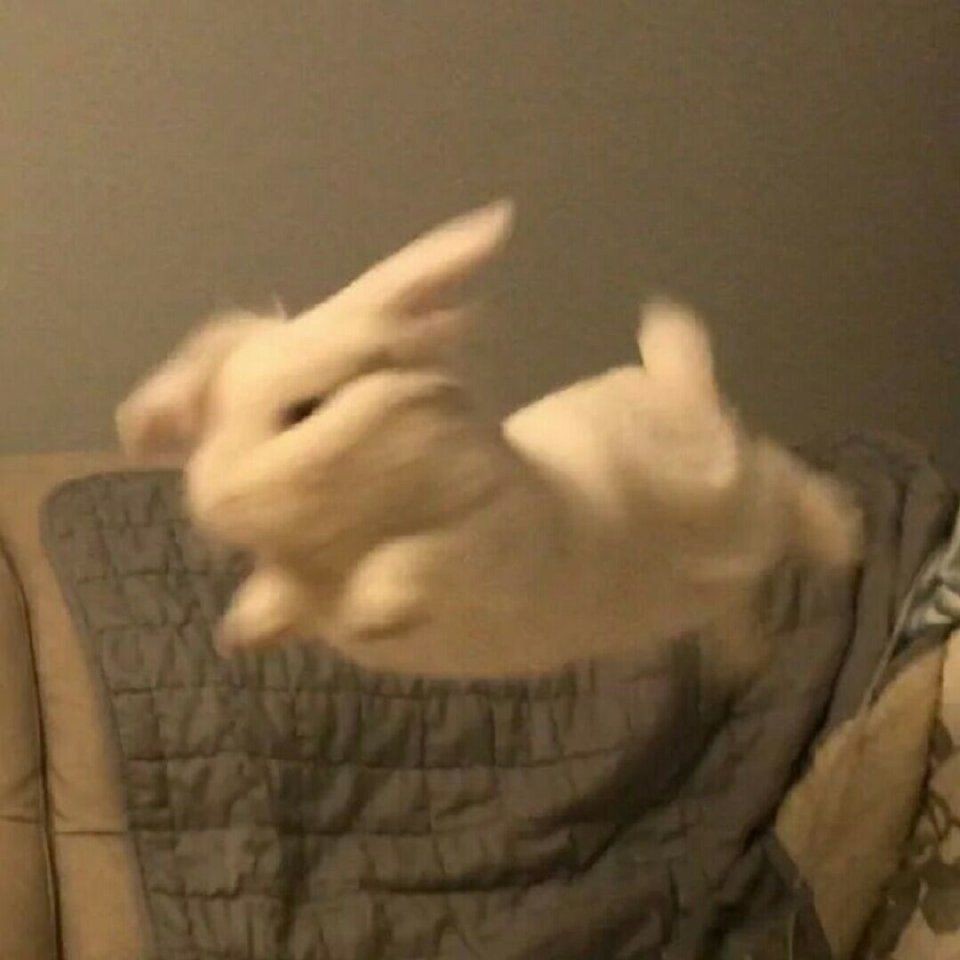 爱吃翠花螺蛳的麦穗