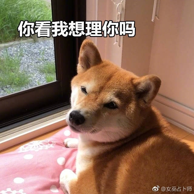 我曾经来过一次了