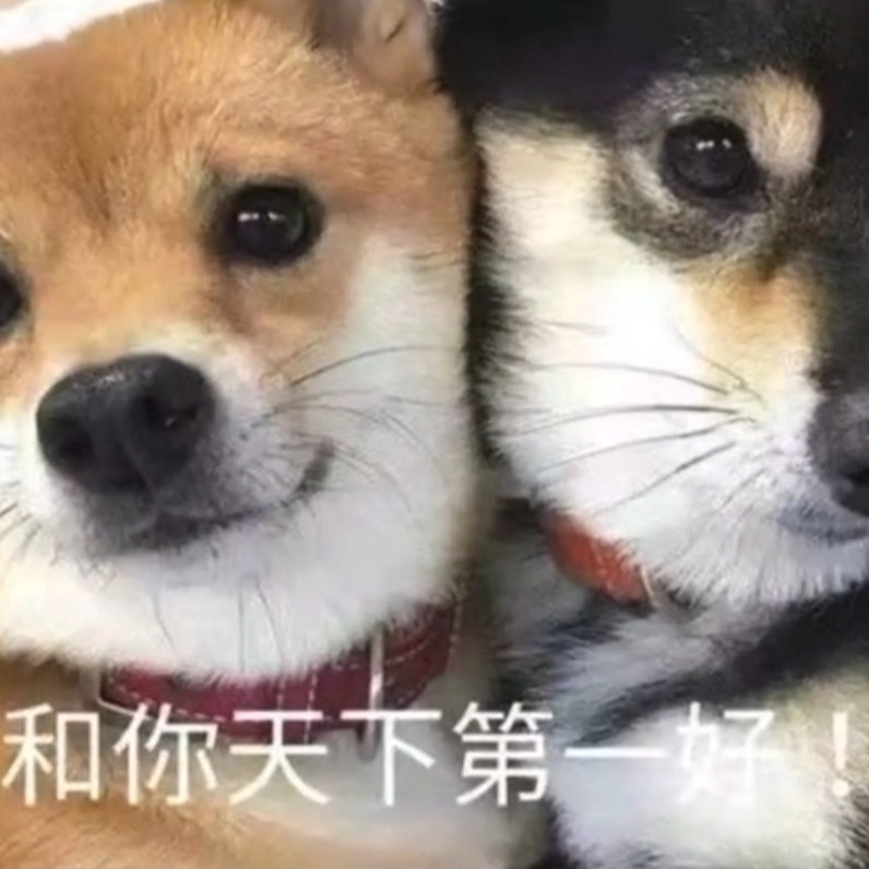 爱吃一品豆渣的丁香91