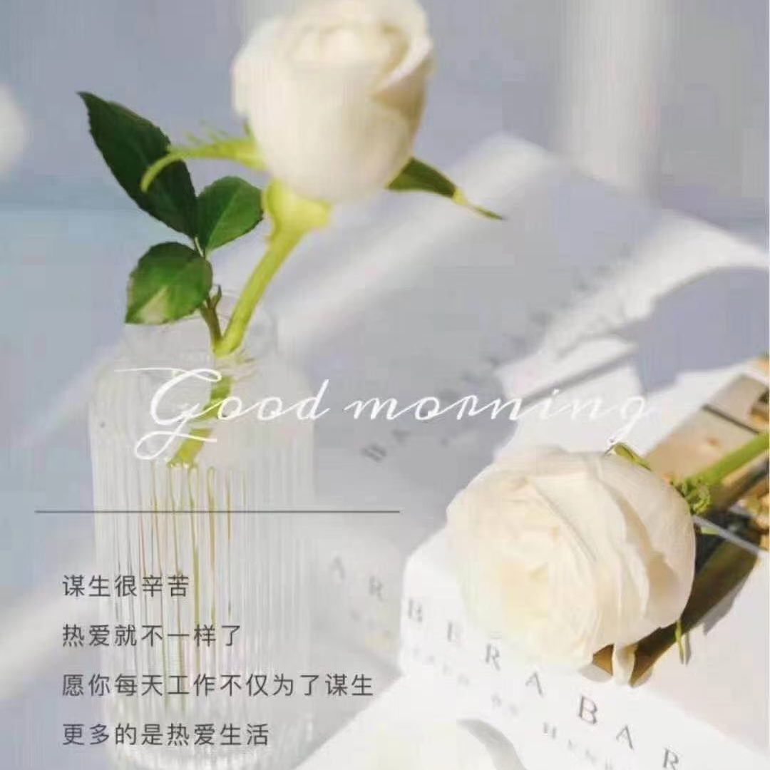 爱吃河南焖面的蜜瓜