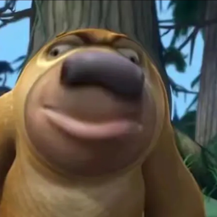 金所炫中国分炫