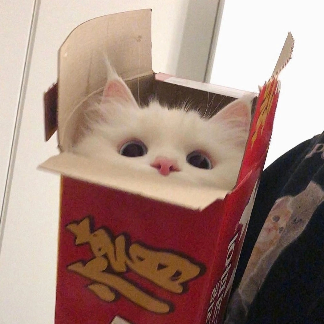 今天吃炸鸡了莓