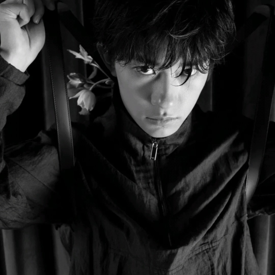 棕红的铁力木属