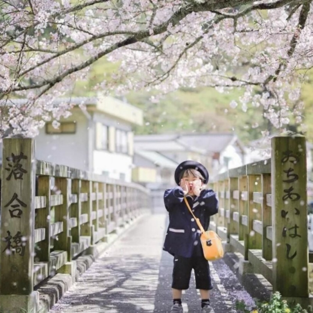 爱吃三丝蛋饼的飞飞13
