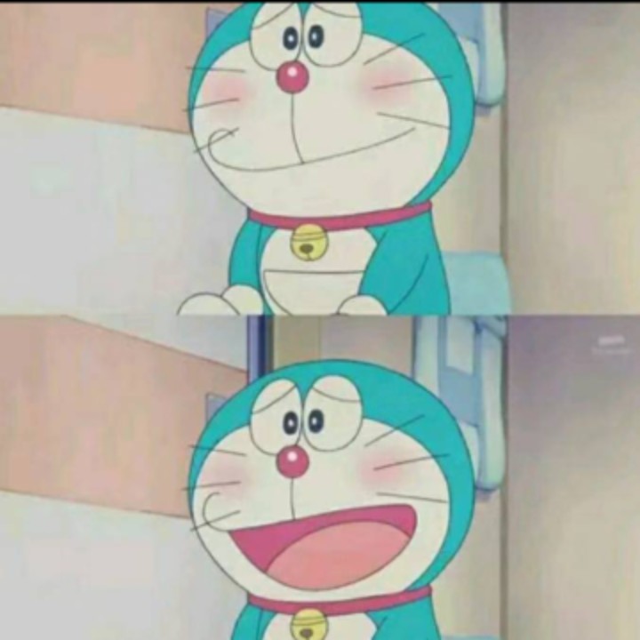 爱吃金桔冰柚的憨憨