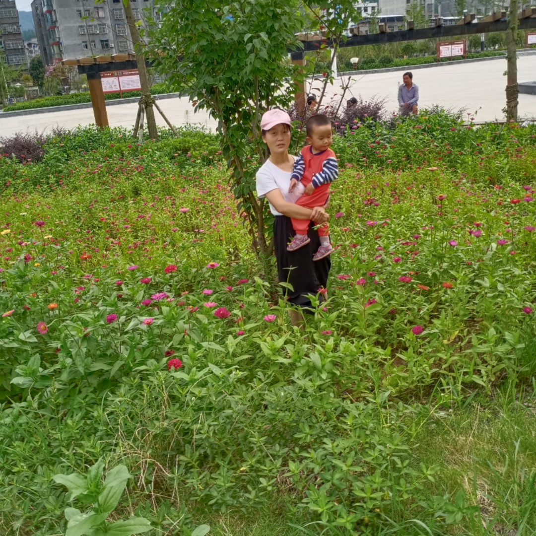 爱吃小南瓜包的红豆