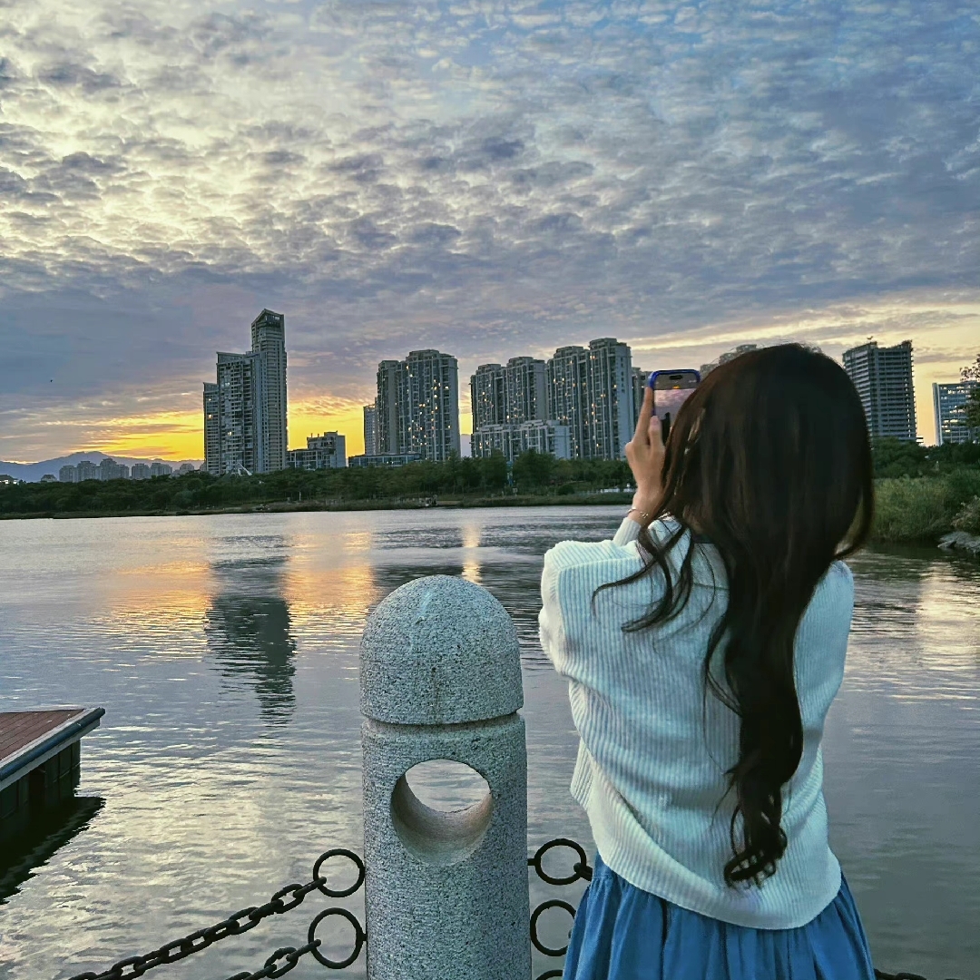 爱吃羊肉焖饭的猫猫