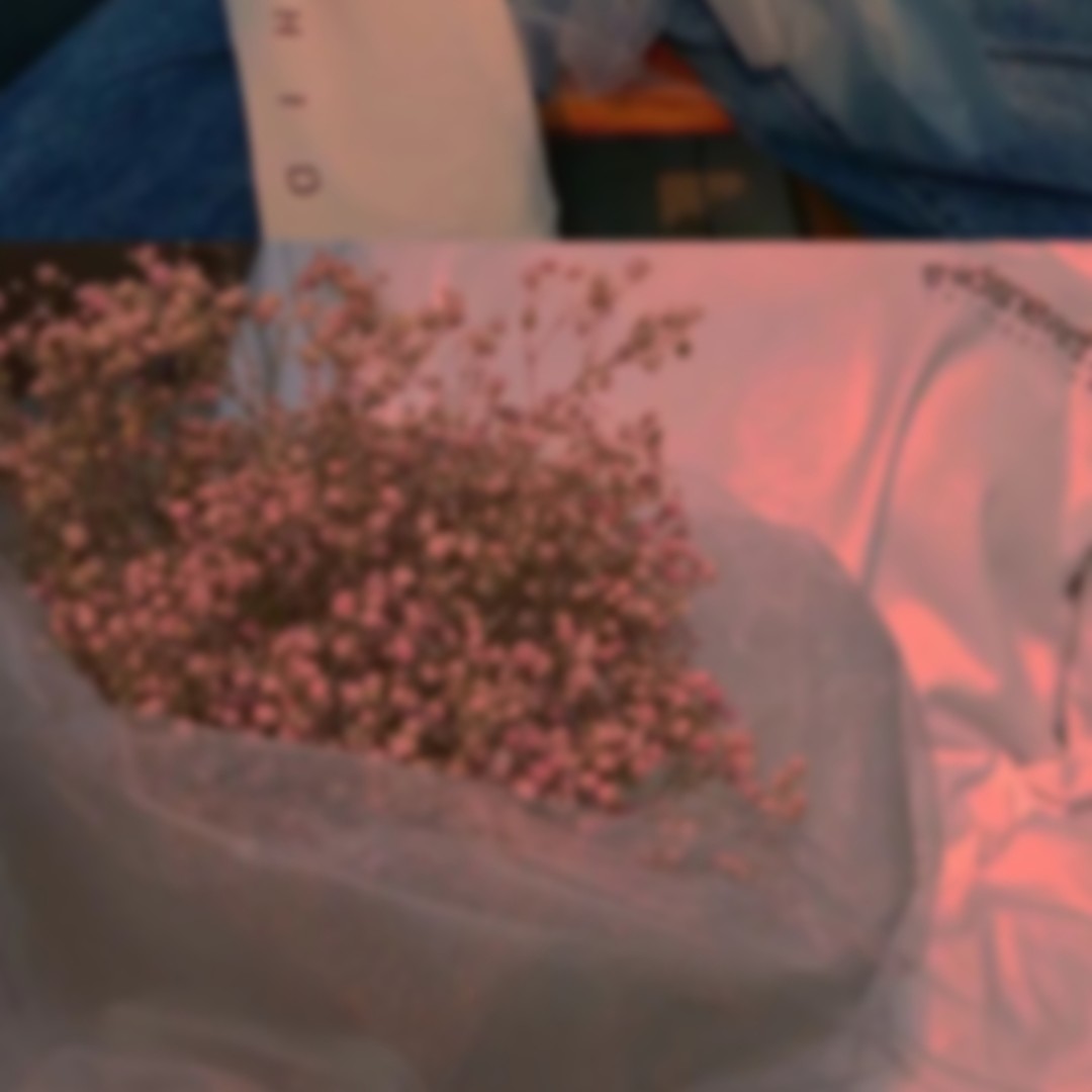 爱吃白果芥蓝的奋斗者